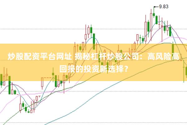 炒股配资平台网址 揭秘杠杆炒股公司：高风险高回报的投资新选择？