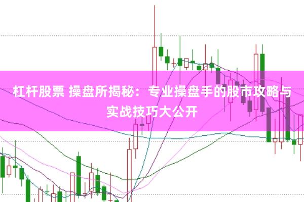 杠杆股票 操盘所揭秘：专业操盘手的股市攻略与实战技巧大公开