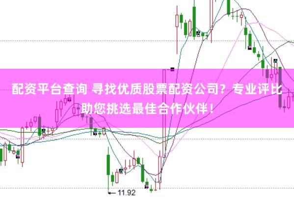 配资平台查询 寻找优质股票配资公司？专业评比助您挑选最佳合作伙伴！