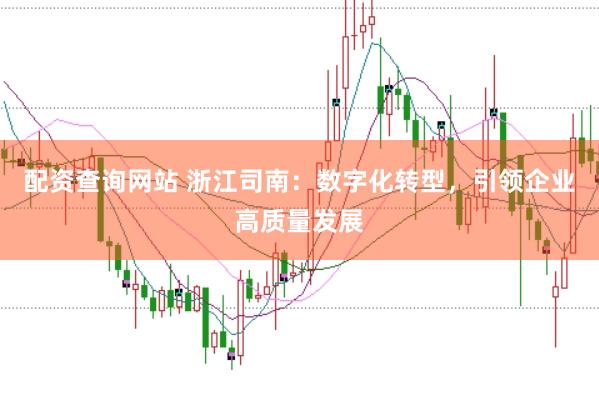 配资查询网站 浙江司南：数字化转型，引领企业高质量发展