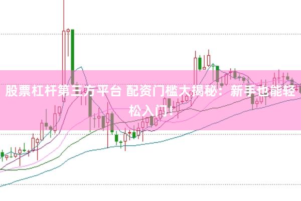股票杠杆第三方平台 配资门槛大揭秘：新手也能轻松入门！