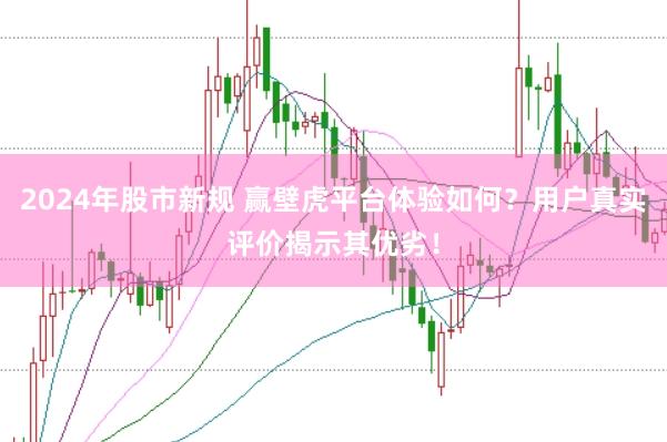 2024年股市新规 赢壁虎平台体验如何？用户真实评价揭示其优劣！