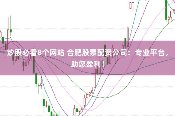 炒股必看8个网站 合肥股票配资公司：专业平台，助您盈利！