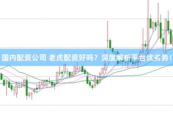 国内配资公司 老虎配资好吗？深度解析平台优劣势！