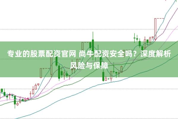 专业的股票配资官网 尚牛配资安全吗？深度解析风险与保障