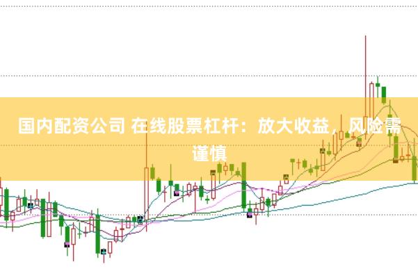 国内配资公司 在线股票杠杆：放大收益，风险需谨慎