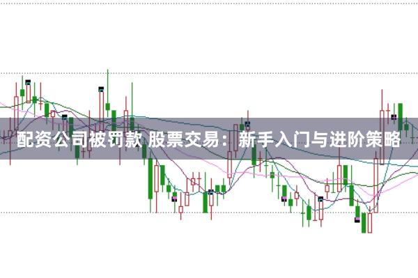 配资公司被罚款 股票交易：新手入门与进阶策略