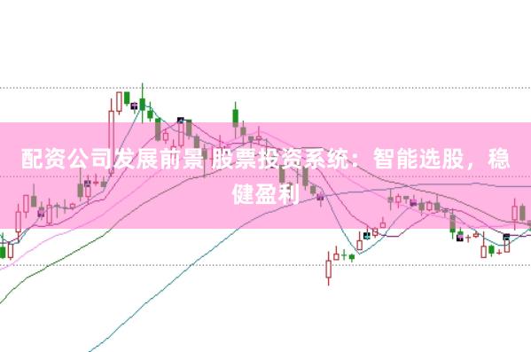配资公司发展前景 股票投资系统：智能选股，稳健盈利