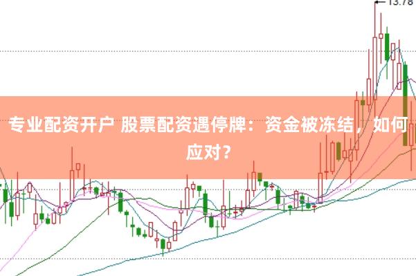 专业配资开户 股票配资遇停牌：资金被冻结，如何应对？