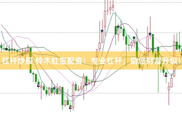 杠杆炒股 铃木红宝配资：专业杠杆，助您财富升级！