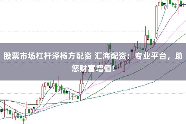 股票市场杠杆泽杨方配资 汇海配资：专业平台，助您财富增值！