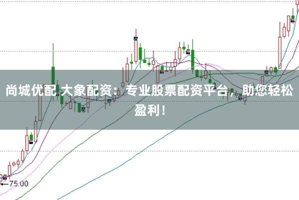 尚城优配 大象配资:专业股票配资平台,助您轻松盈利!