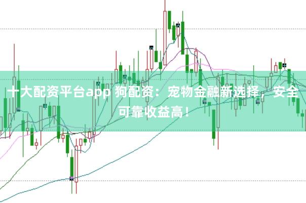 十大配资平台app 狗配资：宠物金融新选择，安全可靠收益高！