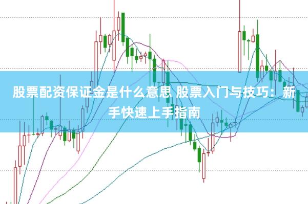 股票配资保证金是什么意思 股票入门与技巧:新手快速上手指南