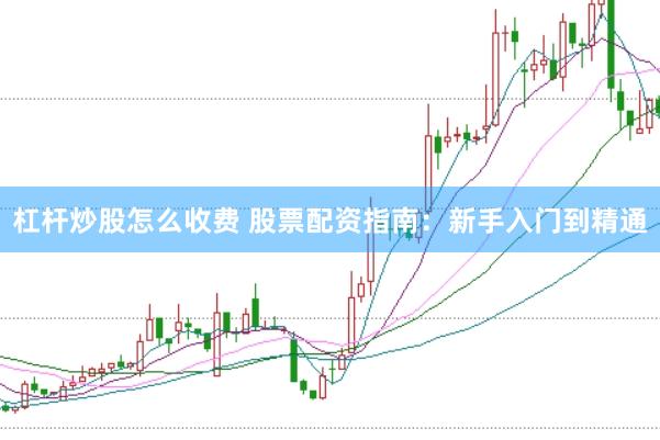 杠杆炒股怎么收费 股票配资指南:新手入门到精通