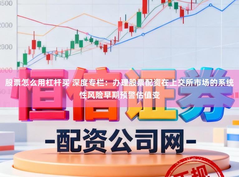 股票怎么用杠杆买 深度专栏：办理股票配资在上交所市场的系统性风险早期预警估值变