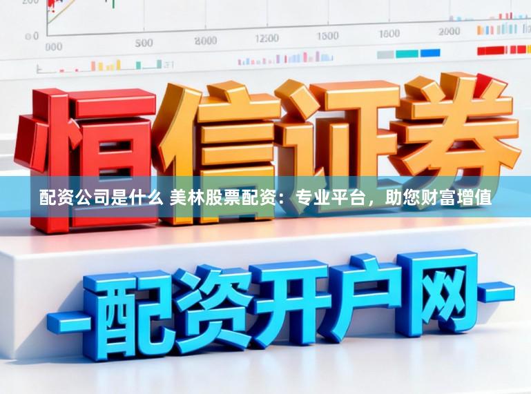 配资公司是什么 美林股票配资:专业平台,助您财富增值